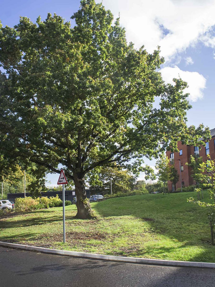 3 bedroom semidetached house for sale, Ashton Vale, Bristol Ocean
