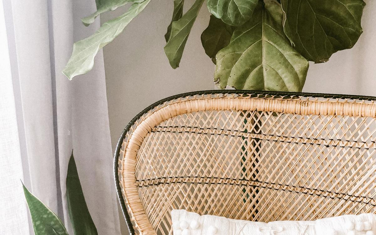 Elegant planting at home